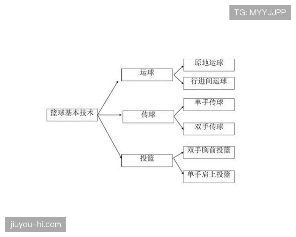 篮球中线规则详解：何时算违例？